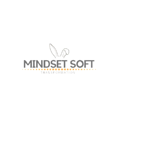 Mindsetsoft - Servicios de Formación y Consultoría en TI